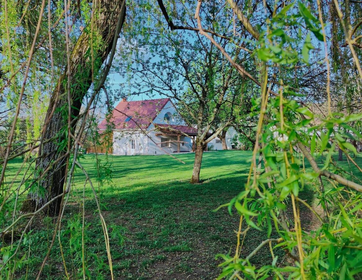 Domaine Saint Loup - 10Min Beaune Εξωτερικό φωτογραφία